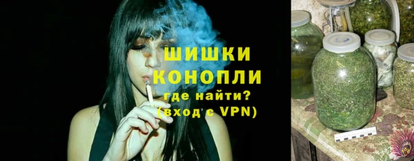 дмт Горняк