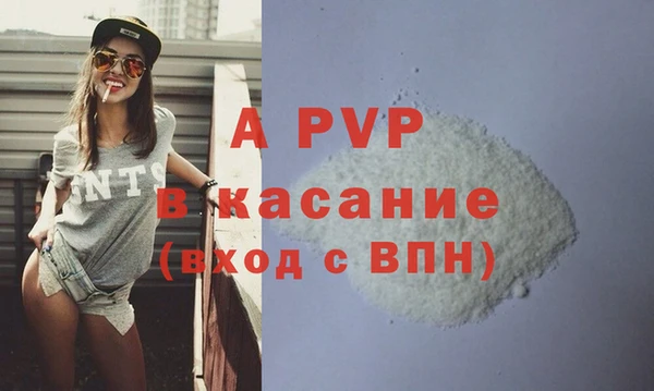 шишки Беломорск