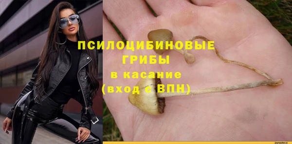кокаин премиум Белокуриха