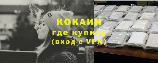 шишки Беломорск