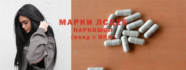 шишки Беломорск