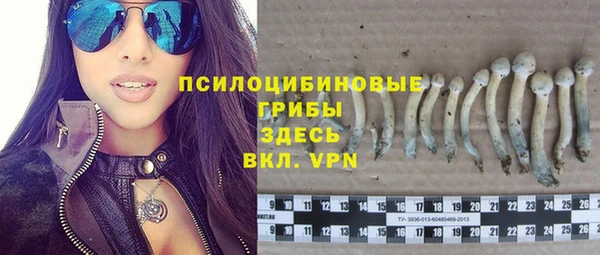 кокаин премиум Белокуриха