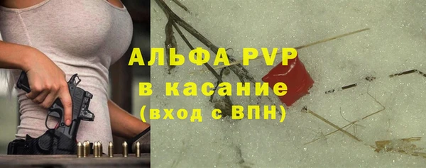 шишки Беломорск