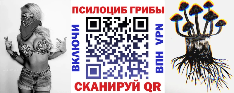 Псилоцибиновые грибы мухоморы Полесск